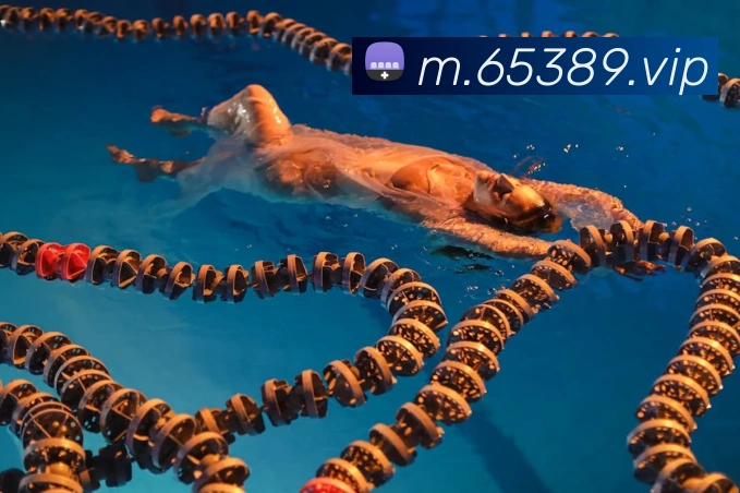 8868体育平台生态图